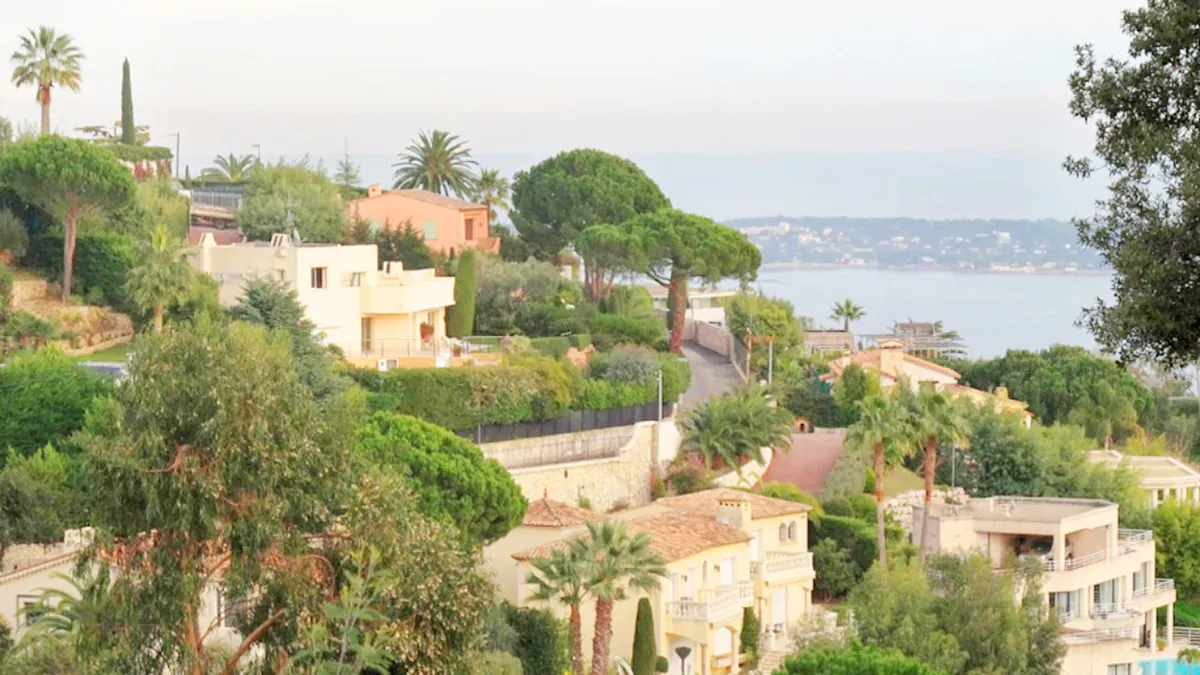 Villas et résidences entourées de pins parasols dans le quartier de La Californie à Cannes, avec la mer en arrière-plan